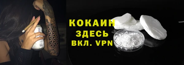бошки Аркадак