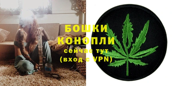 бошки Аркадак