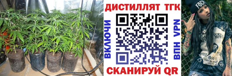 купить   это официальный сайт  ТГК Wax  Цимлянск 